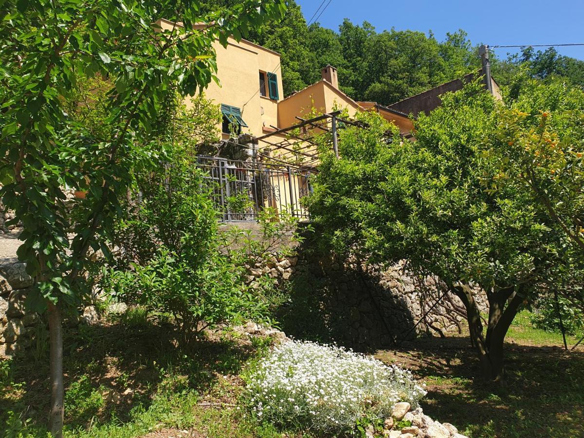 Agriturismo Alveare Finale Ligure Exterior photo